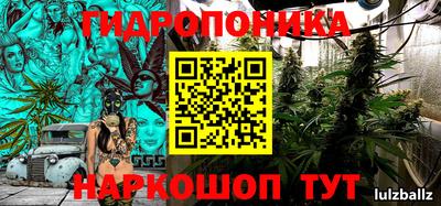 apvp Пушкино