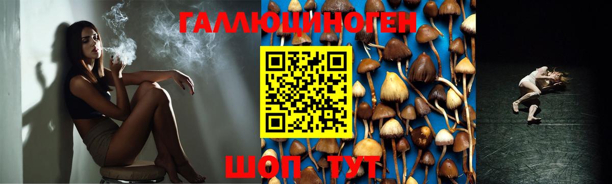 что такое наркотик  Вход с VPN  Пенза  Галлюциногенные грибы мицелий 